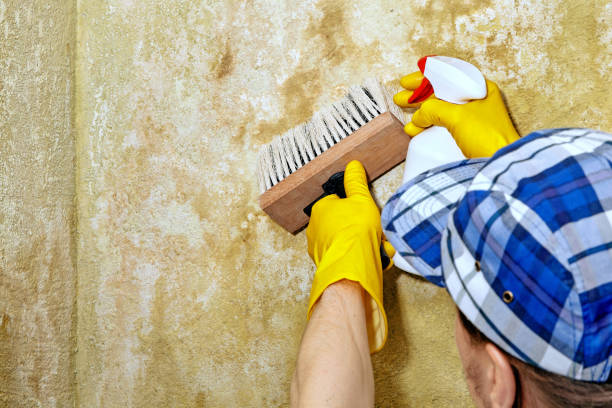 Best Asbestos and Lead Testing During Mold Inspection  in Picture Rocks, AZ