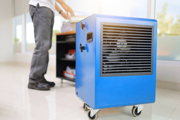 Best Biohazard Mold Removal  in Picture Rocks, AZ