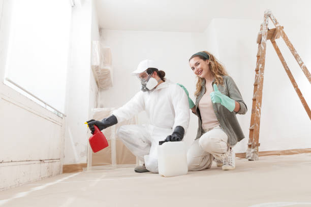 Best Real Estate Mold Inspection  in Picture Rocks, AZ