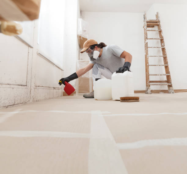 Best Crawl Space Mold Remediation  in Picture Rocks, AZ