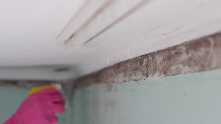 Best Airborne Mold Testing  in Picture Rocks, AZ